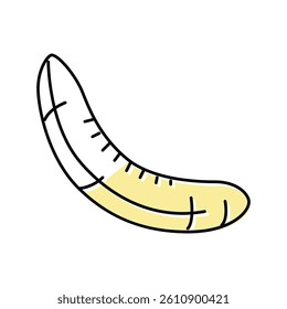banana peeled color icon vector. banana peeled sign. isolated symbol illustration
