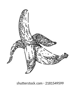 banana peeled hand drawn vector. fruit skin, white open food, garbage yellow, trash slip, healthy diet banana peeled sketch. isolated black illustration