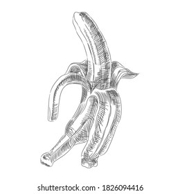 Banana with peeled skin from the contour black brush lines different thickness on white background. Vector illustration.