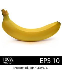 Banana. Photo-realistic vector illustration
