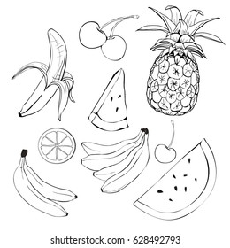 banana, pineapple, orange, lemon, cherry, watermelon, line, vector, illustration