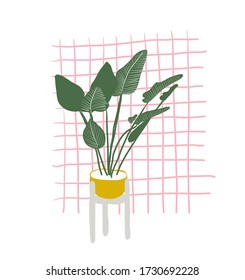 banana plant vector illustration. hand drawn sketch of trendy house potted plant. 