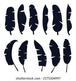 Banana Plantain Leaf's Vector Silhouettes Collections