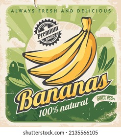 Banana plantation retro poster design on old paper texture. Vintage advertisement for organic banana farm. Vector fruits illustration.