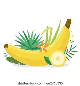 Banana with plants and flowers. Flat style vector illustration.