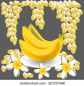 banana, plumeria, frangipani, grape fruit vector flowers.
tropical  still life