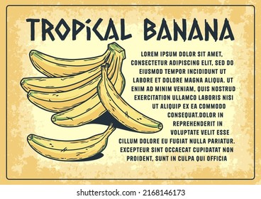 Banana poster. Summer exoic fruit and nuts with palm leaves design