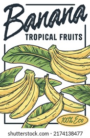 Banana poster. Summer exoic fruit and flowers with tropical leaves design