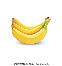 Banana realistic isolated, Yellow Banana Vector illustration. Realistic illustration