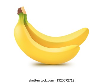 Banana Realistic Vector