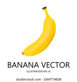 Banana realistic vector illustration