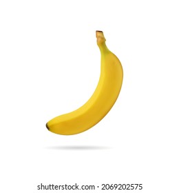 Vector realista bananero. Ilustración aislada sobre fondo blanco