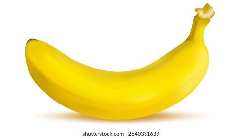 Banana. Ripe yellow banana, realistic vector graphics. Used for packaging design, websites, marketing, food industry. Popular among designers, marketers, entrepreneurs