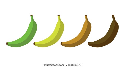 Banana ripeness fruit illustration green mature bad food. Banana ripe vector icon