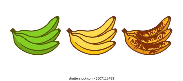 Banana ripeness fruit illustration green mature bad food. Banana ripe vector icon.