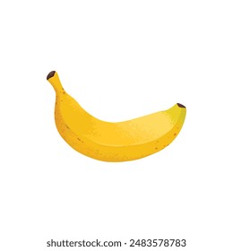 Banana ripeness stage. Different organic fruit peel color from green to brown, organic rotten and fresh ripe fruit. Vegetarian healthy food vector of banana ripen and rot stage illustration on white