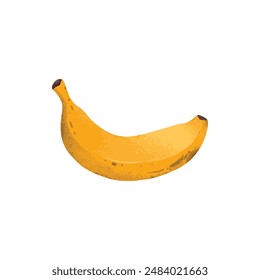 Banana ripeness stage. Different organic fruit peel color from green to brown, organic rotten and fresh ripe fruit. Vegetarian healthy food vector of banana ripen and rot stage illustration on white