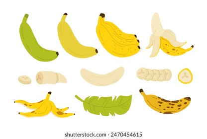 Banana ripeness stages. Different organic fruit peel color from green to brown, organic rotten and fresh ripe fruit. Vegetarian healthy food vector set of banana ripen and rot stage illustration