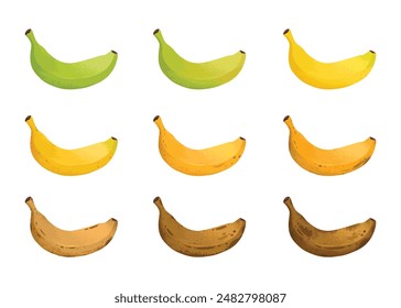 Banana ripeness stages. Different organic fruit peel color from green to brown, organic rotten and fresh ripe fruit. Vegetarian healthy food vector set of banana ripen and rot stage illustration on