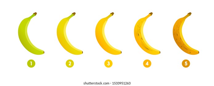 Banana ripeness. Stages of growth and ripening of banana fruit. Selection of ripe banana. Vector illustration