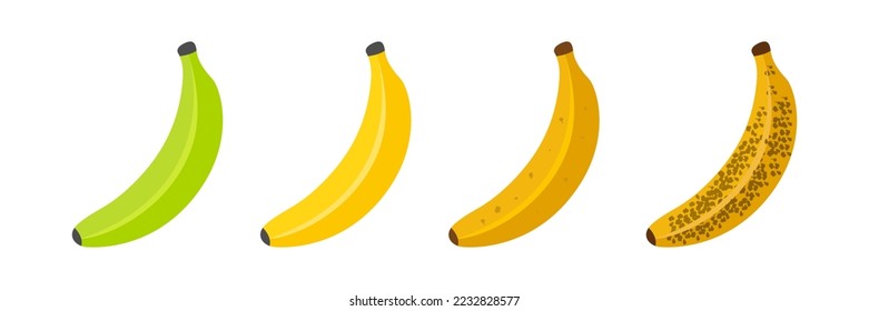 Banana ripeness. Stages of growth and ripening of banana fruit. Selection of ripe banana. 