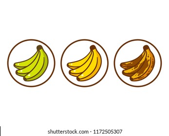 Banana ripeness vector illustration. Green underripe bananas, yellow and brown over ripe. Cartoon style icon set.