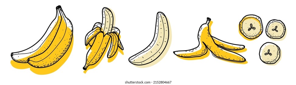 Banana set. Abstract modern set of banana icons, whole and sliced isolated on a white background. For internet, printing, product design, logo. Line, contour. Vector hand-drawn flat illustration.