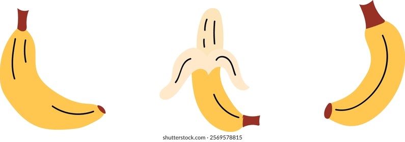 Banana. Set of abstract vector bananas. Sticker. Tropical fruits collection design for fabric, interior, poster, banner.