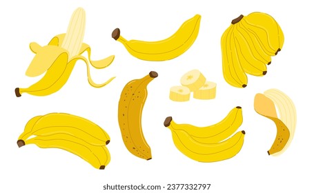 banana set. set of fresh banana bunches. A sweet fruit, peeled banana and bunch of bananas isolated on a white background