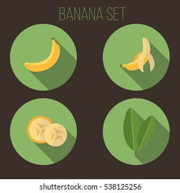  banana set green leaf flat fruits vector icon yellow brown