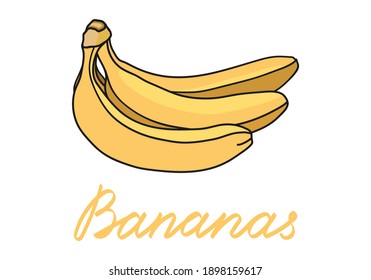 Banana set. Hand drawn bunch of bananas. Vector illustrations.
