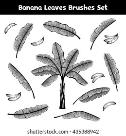 Banana Set with Palm, Banana fruits and Leaves in Black and White. Objects are included as  Brushes in brush library
