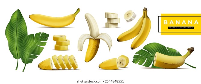 Banana set, realistic fruit and leaf. 3D tropical piece with skin. Green plant leaves, palm, pulp slice of healthy food. Vitamin ripe natural dessert. Healthy cooking ingredient. Vector isolated set