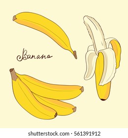 Banana. Set. Sketch. Exotic fruit.