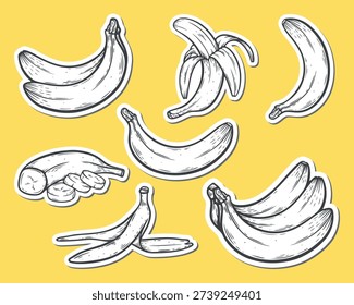 Banana set sticker pack, pealed, sliced, whole, bunch, banana variations, engraving isolated