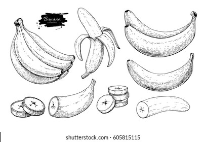 Banana set vector drawing. Isolated hand drawn bunch, peel banana and sliced pieces.  Summer fruit engraved style illustration. Detailed vegetarian food. Great for label, poster, print