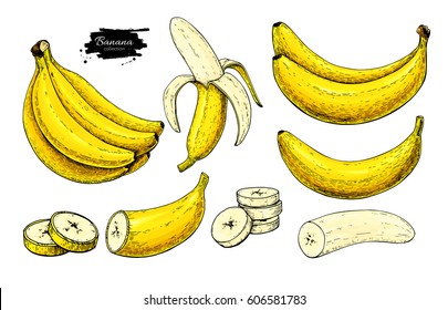 Banana set vector drawing. Isolated hand drawn bunch, peel banana and sliced pieces.  Summer fruit artistic style illustration. Detailed vegetarian food. Great for label, poster, print