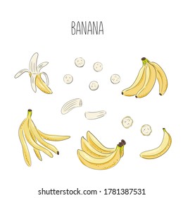 Banana set of vector drawings. Isolated hand drawn bouquet, bunch, banana peel and sliced pieces. Summer fruit art style illustration. Detailed vegetarian food. Great for label, poster, print.