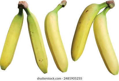 Banana set. archivo de Vector. aislado. transparente