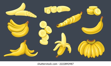Banana set vector illustration. Bunch of bananas, half peeled banana and slices of tropical fruits, snack. Isolated natural food collection from tropics