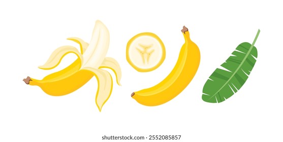 Banana set. Whole ripe banana, peeled, sliced and green palm leaf. Vector cartoon flat illustration. Tropical fruit icon.