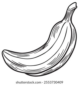 Banana silhouette on a isoleted white background