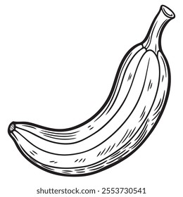 Banana silhouette on a isoleted white background