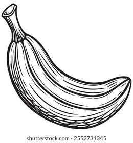 Banana silhouette on a isoleted white background