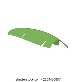 banana simple leaves, banana leaf graphic