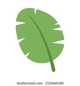 banana simple leaves, banana leaf graphic