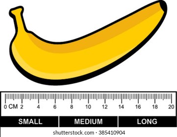 BANANA SIZE