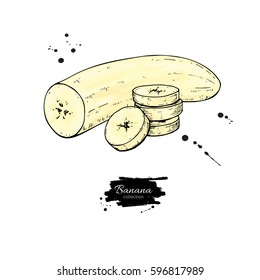 Banana sliced and peeled piece vector drawing. Isolated hand drawn object on white background.  Summer fruit artistic style illustration. Detailed vegetarian food. Great for label, poster, print