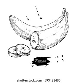 Banana sliced piece vector drawing. Isolated hand drawn object on white background.  Summer fruit engraved style illustration. Detailed vegetarian food. Great for label, poster, print