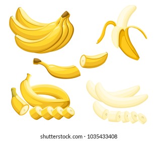 Banana and slices of bananas. Vector illustration of bananas. Vector illustration for decorative poster, emblem natural product, farmers market. Website page and mobile app design